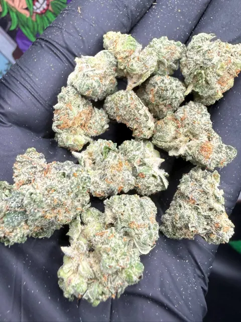 Solar Flare SMALLS