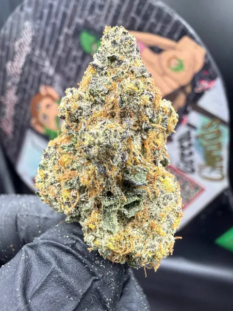 Sequoia Strawberry